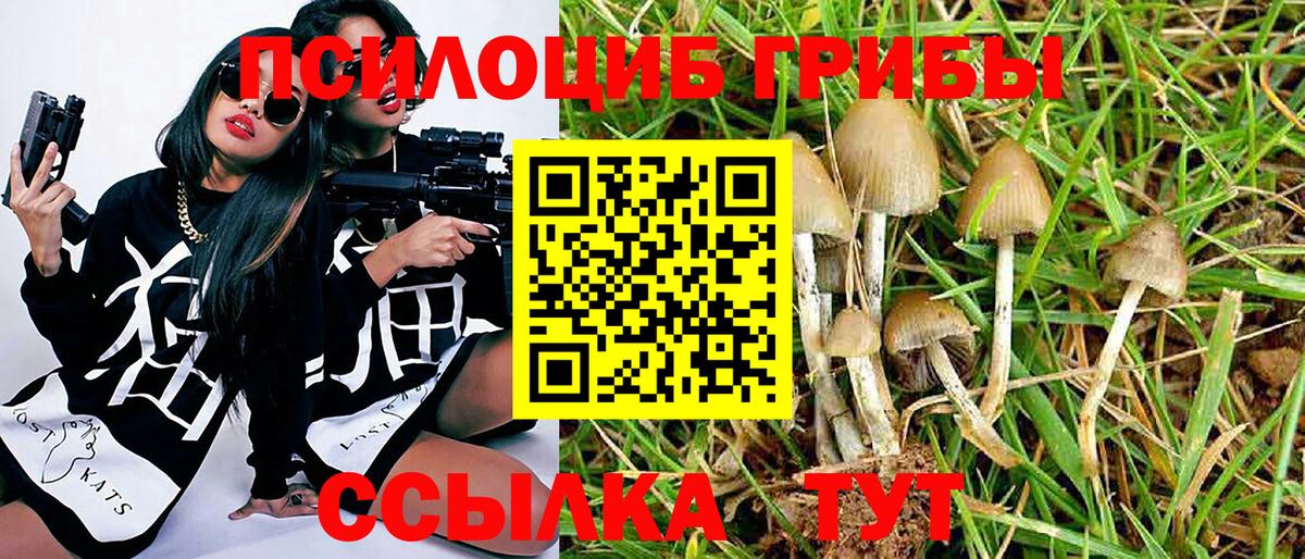 Лангепас  Галлюциногенные грибы Cubensis  Вход с VPN 